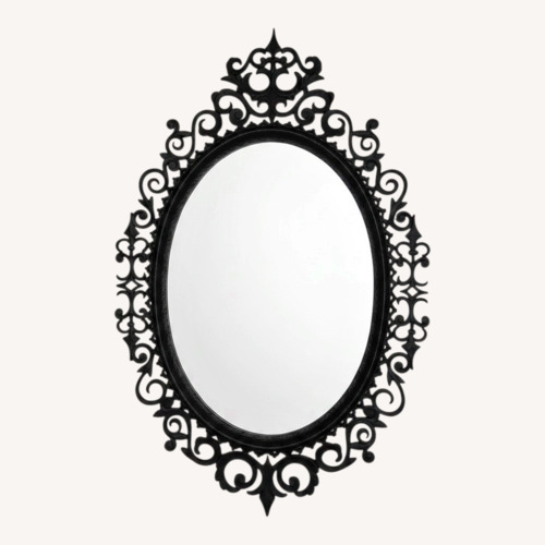 Used Black Wall Mirror for sale on AptDeco
