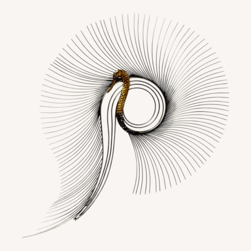 Used Peacock Wall Decoration  for sale on AptDeco