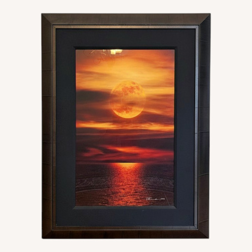 Used Peter Lik - Moonlight Reflections for sale on AptDeco