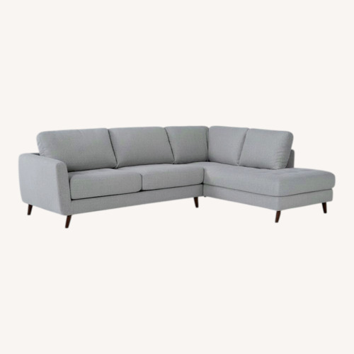 Used Living Spaces Ginger Gray Sleeper Sofa for sale on AptDeco