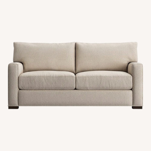 Used Crate & Barrel Light Gray Velvet 2 Seater Sofa for sale on AptDeco