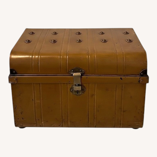 Used Vintage/Antique Dark Brown Metal Chest for sale on AptDeco
