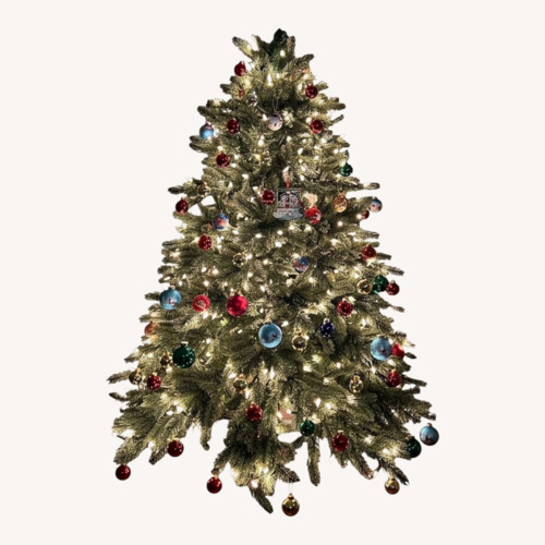 Used Christmas Tree, Vermont White Spruce, 5.5ft. for sale on AptDeco