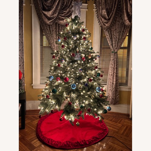 Used Christmas Tree, Vermont White Spruce, 5.5ft. for sale on AptDeco