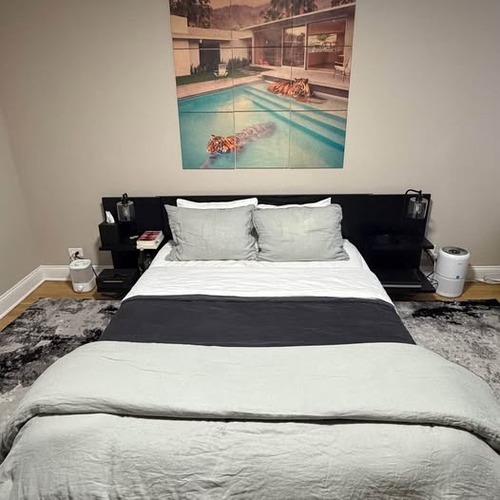 Used CB2 Andes Black Ebonized Oak Wood Queen Bed for sale on AptDeco