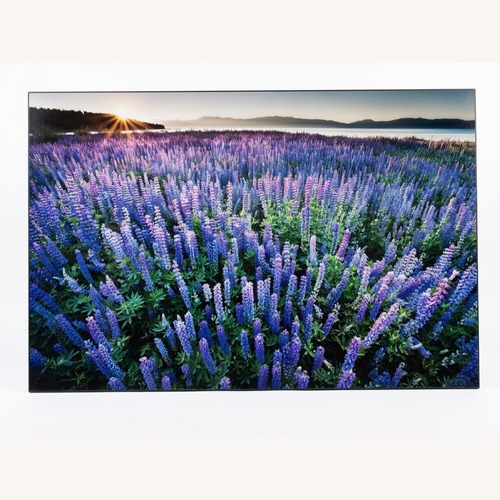 Used Steven Castro Photography Wall Art for sale on AptDeco