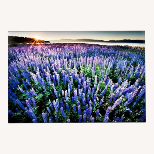Used Steven Castro Photography Wall Art for sale on AptDeco