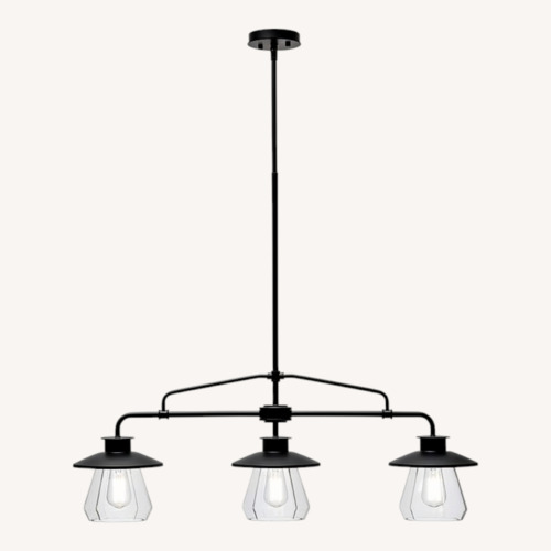 Used Nate Black Ceiling Lighting Fixture for sale on AptDeco