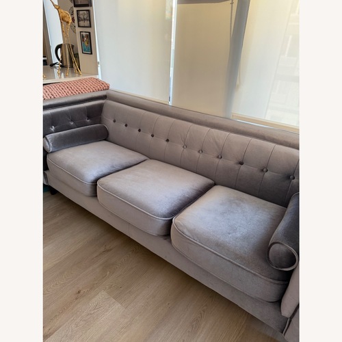 Used Light Gray Velvet 3+ Seater Sofa for sale on AptDeco