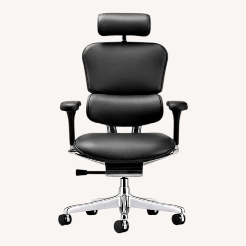 Used Ergohuman LE9ERG Executive Leather Office Chair for sale on AptDeco