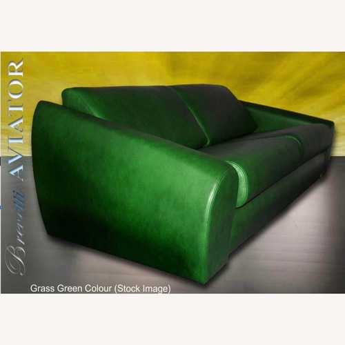 Used Green Leather Sleeper Sofa for sale on AptDeco