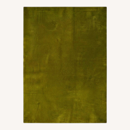 Used Nordic Knots Green Area Rug 1' x 8' for sale on AptDeco