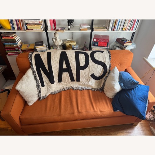Used Apt2b Orange Fabric Sleeper Sofa for sale on AptDeco
