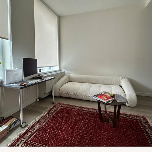 Used Anfibio Sofa for sale on AptDeco