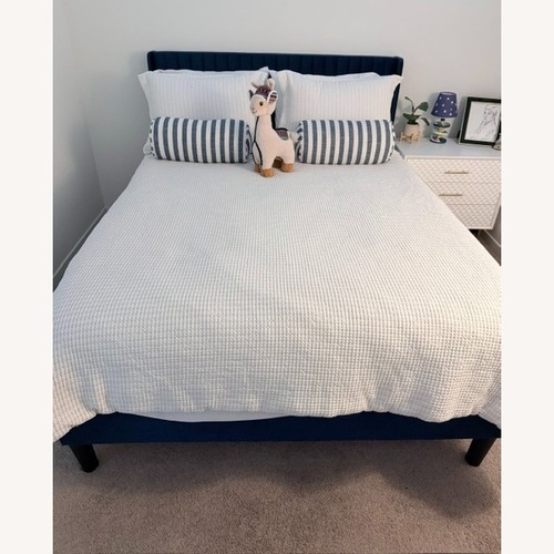 Used Blue Velvet Queen Bed for sale on AptDeco