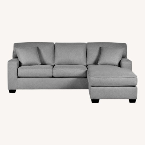 Used Boston Interiors Light Gray Fabric Sleeper Sofa for sale on AptDeco