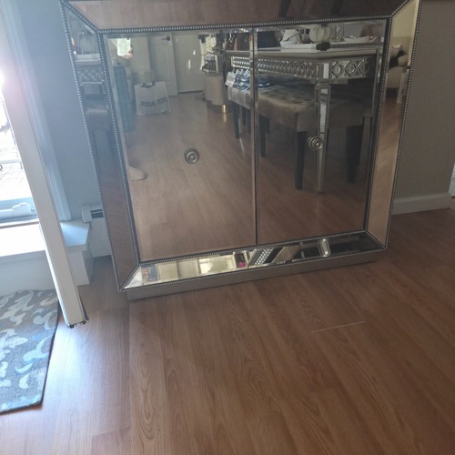 Used Z Gallerie Silver Mirrored Glass Wall Mirror for sale on AptDeco