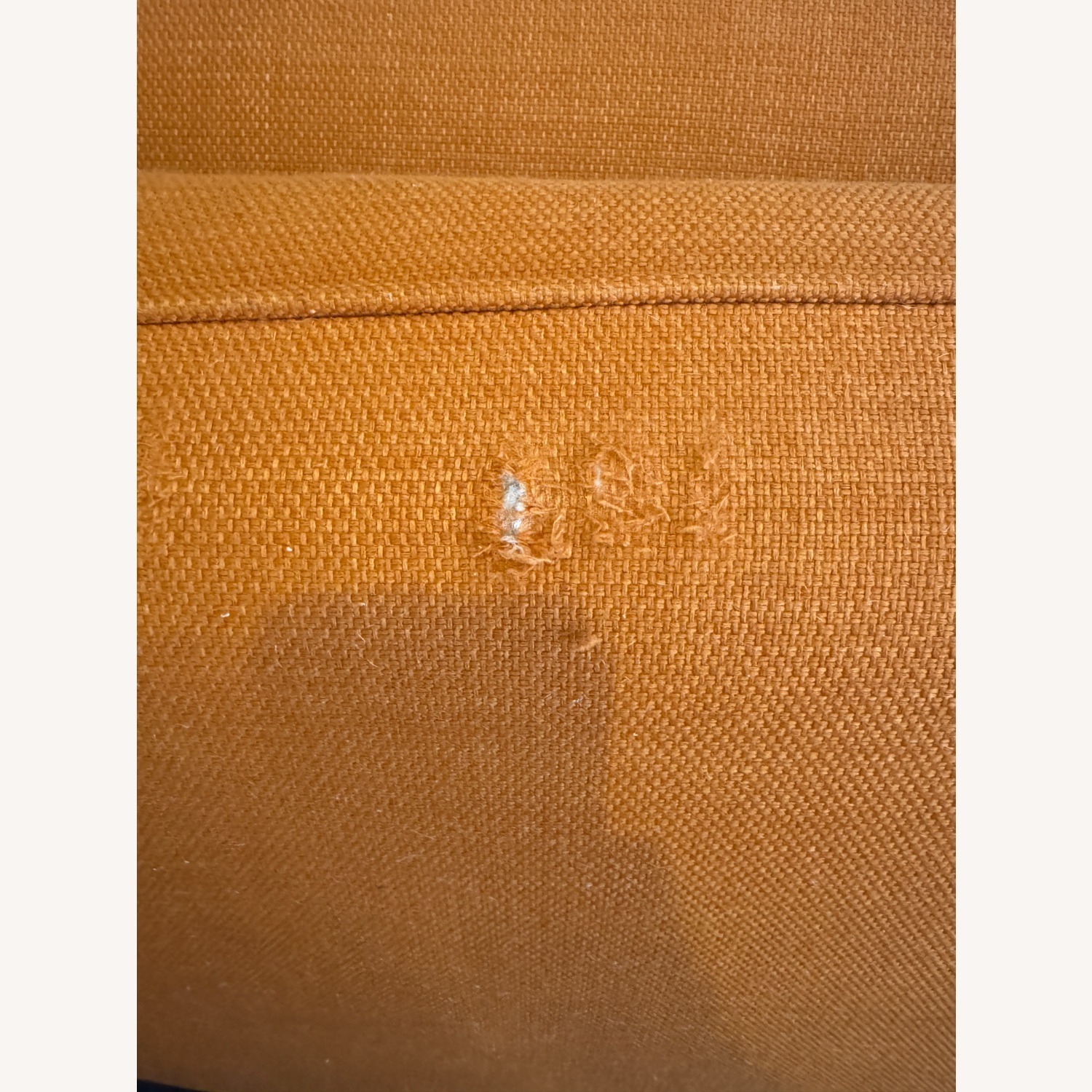 Apt2b Monroe Orange Fabric Sleeper Sofa - image-3