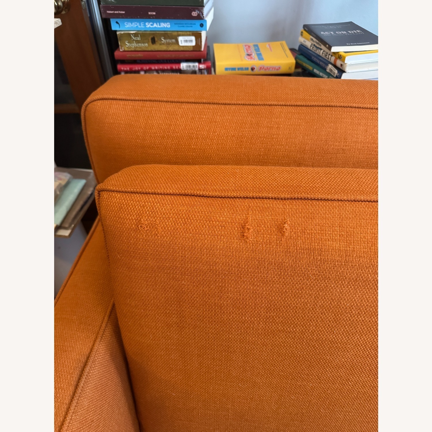 Apt2b Monroe Orange Fabric Sleeper Sofa - image-4
