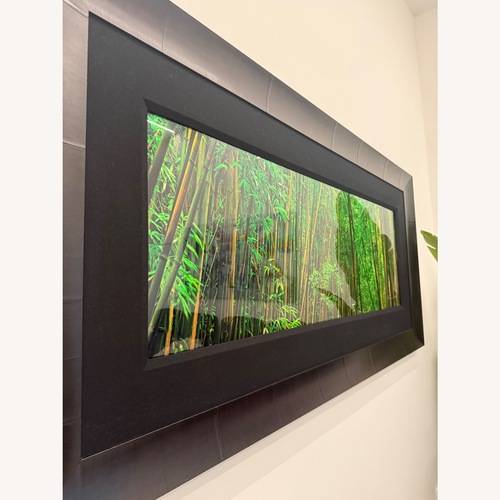 Used Peter Lik Prosperity Limited Edition With Frame for sale on AptDeco