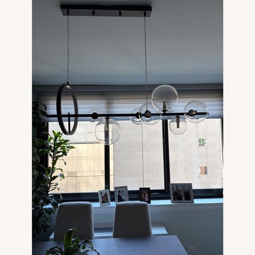Used Macrocosm Transparent Glass Ceiling Lamp for sale on AptDeco