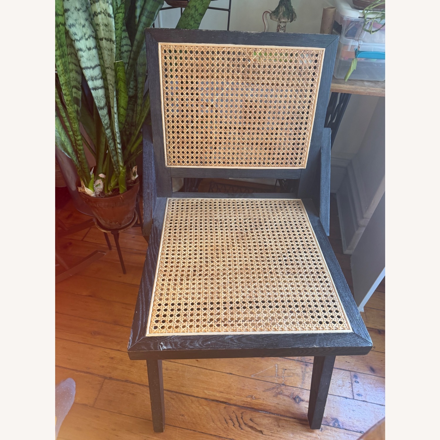 Williams Sonoma Wood and Cane Dining Chairs - image-2
