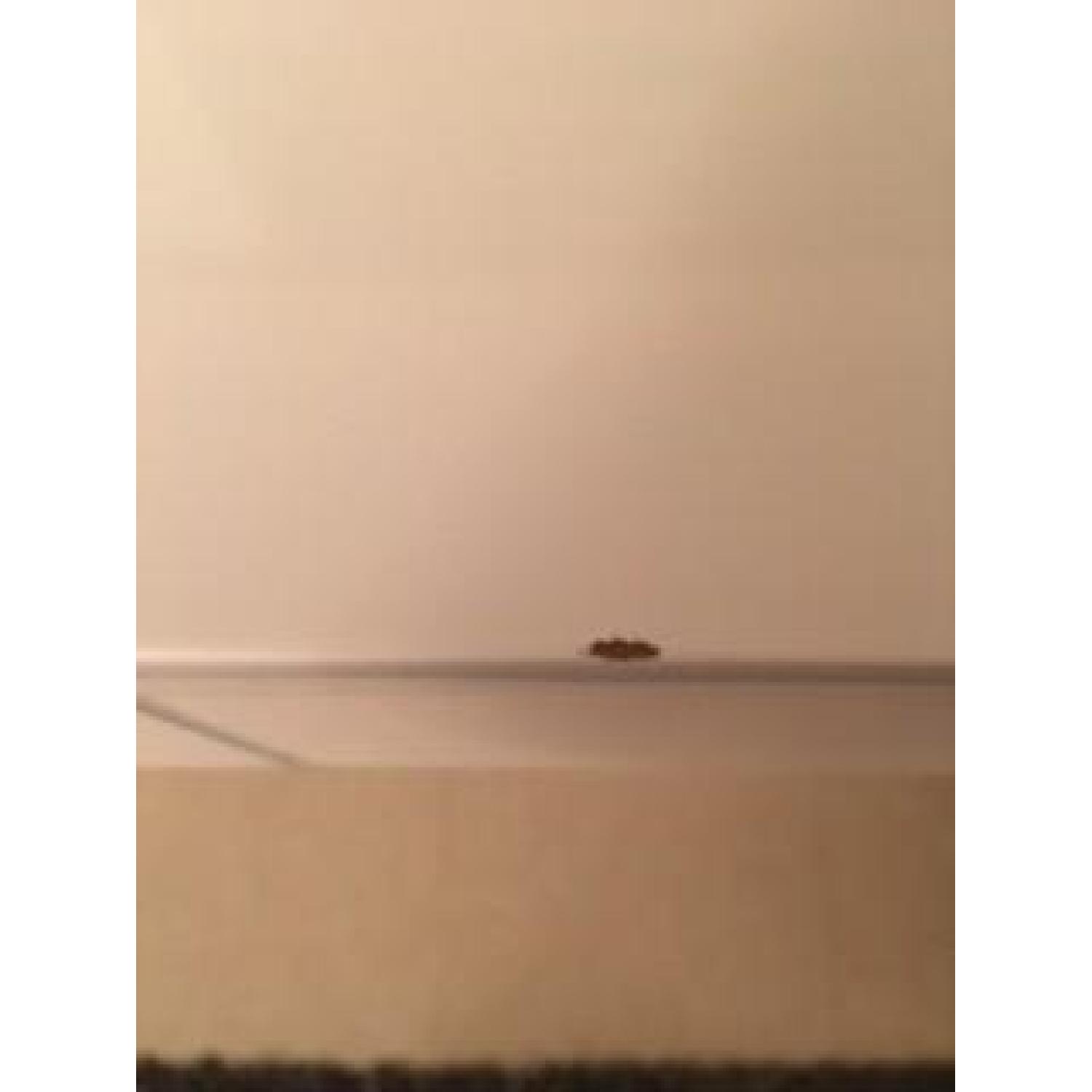 Pangaea Home & Garden Alba X-Leg Desk in White - image-6