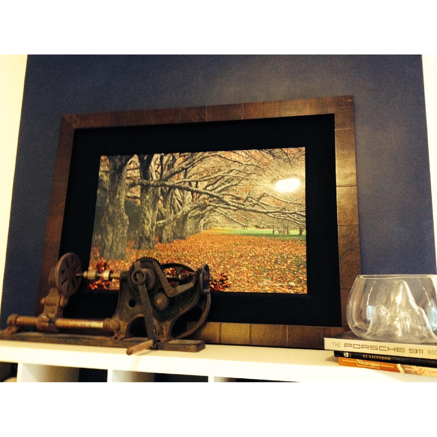 Peter Lik - Framed Enchanted - image-1