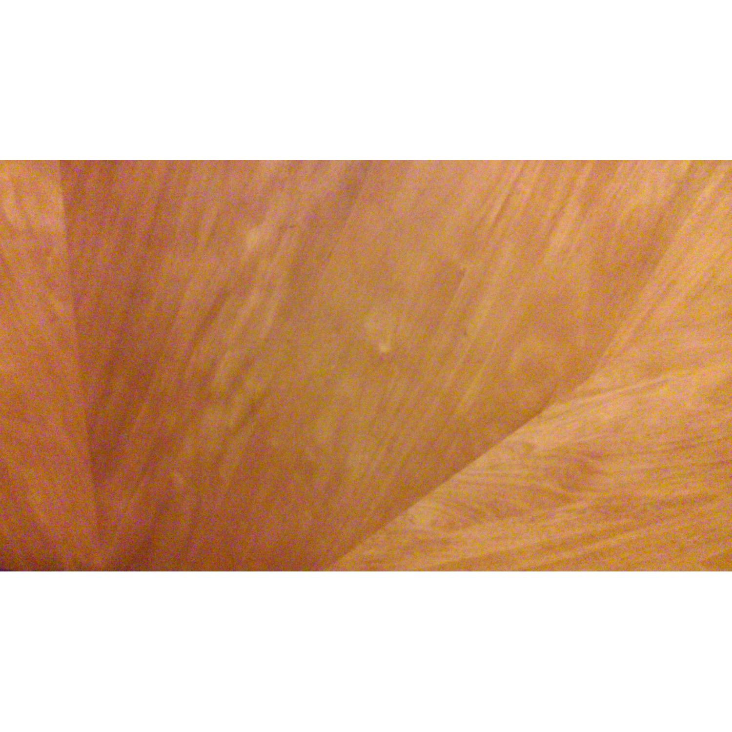 Macy's King Size Bed Frame - image-3