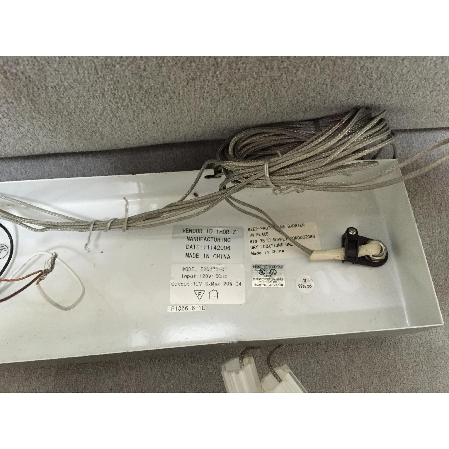 Wang House Blown Glass and Steel Wire LED Light Fixture - image-4