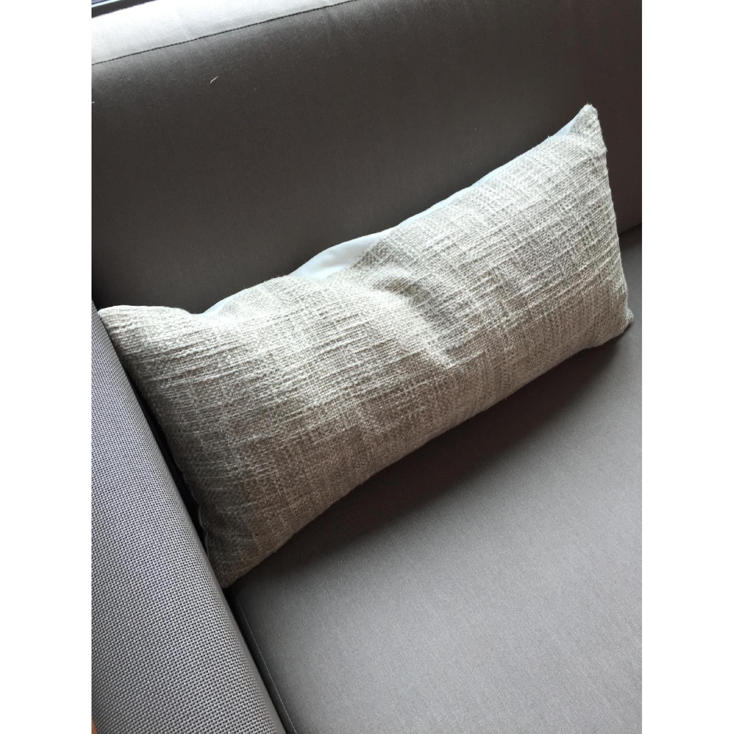 Crate & Barrel Dune Sofa with Sunbrella Taupe Cushion - image-7