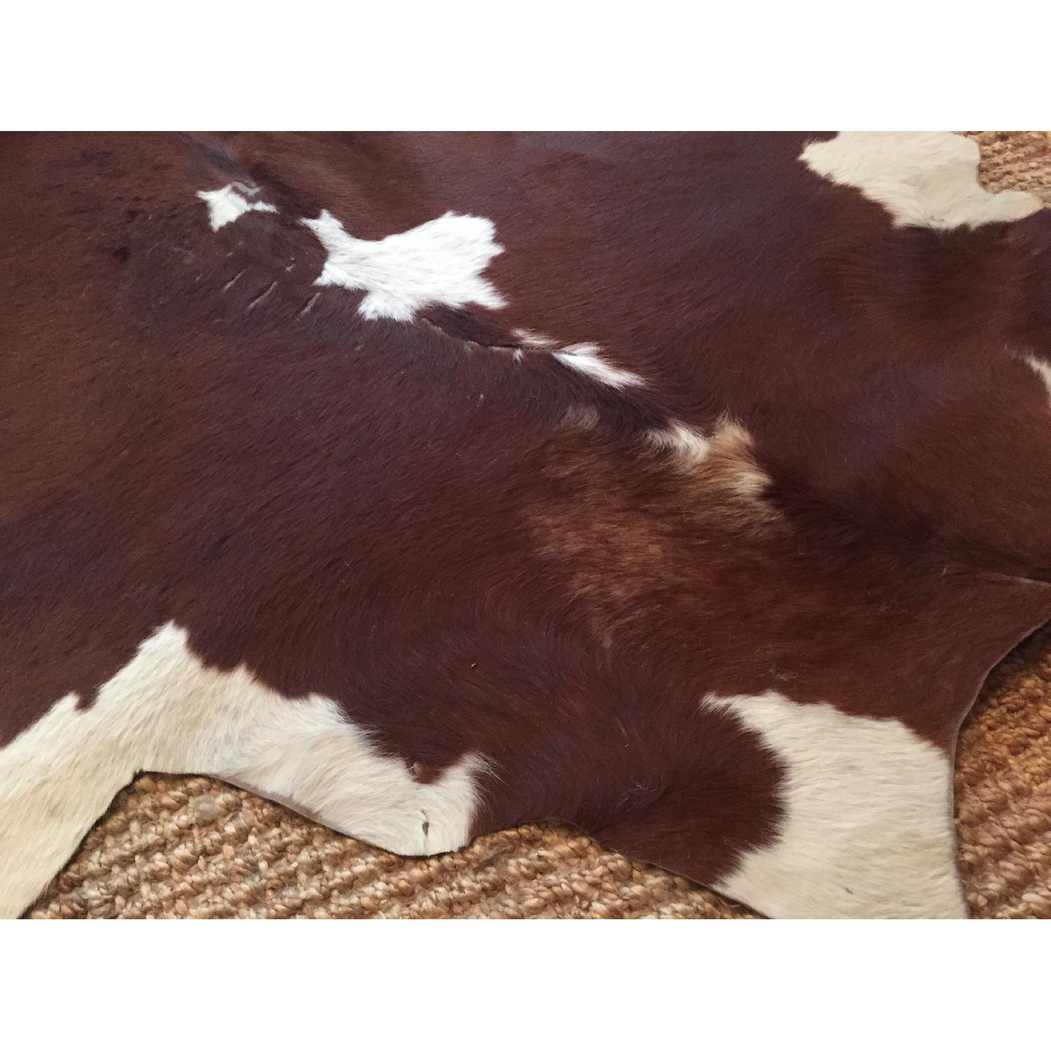 Brazilian Cowhide Rug