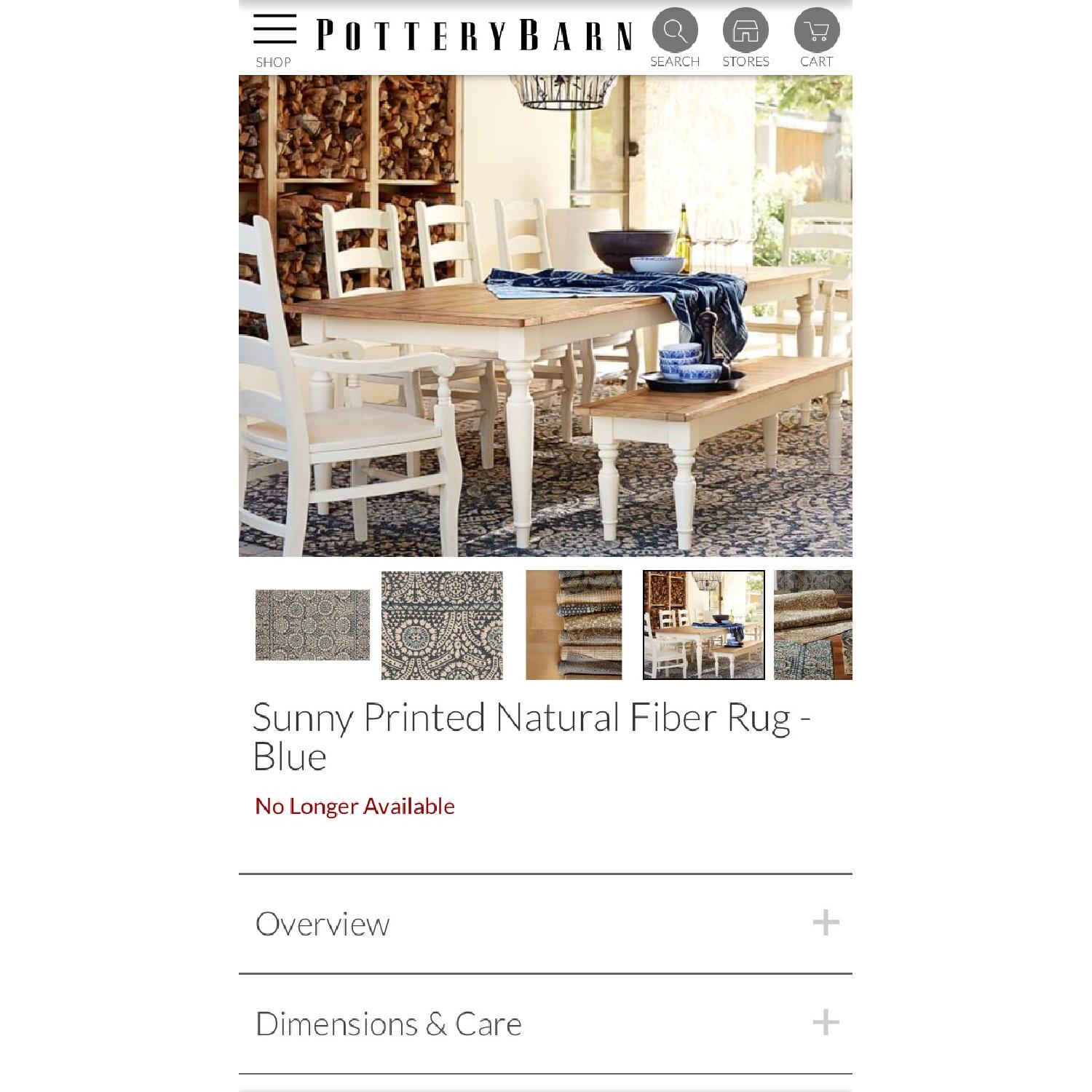 Pottery Barn Sunny Printed Natural Fiber Rug - image-1