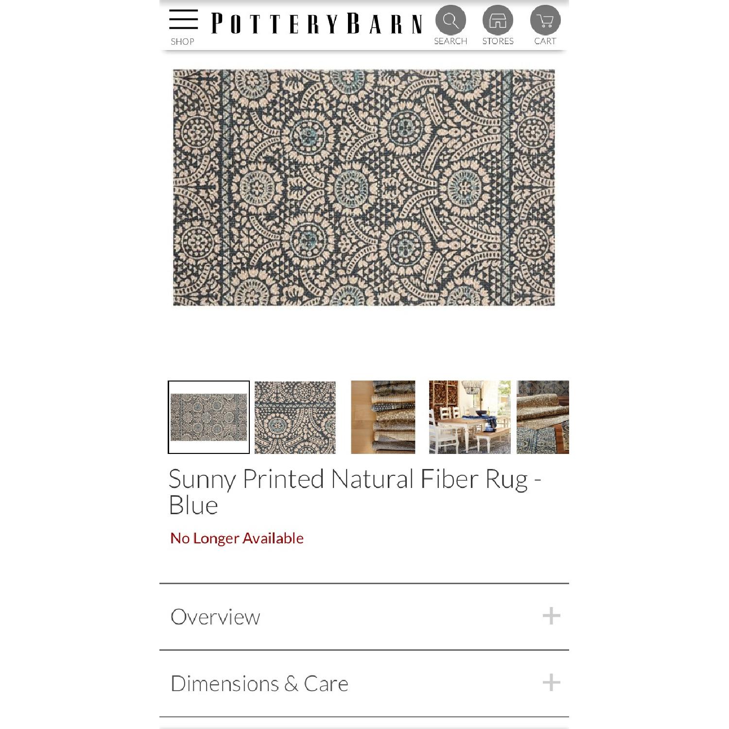 Pottery Barn Sunny Printed Natural Fiber Rug - image-2