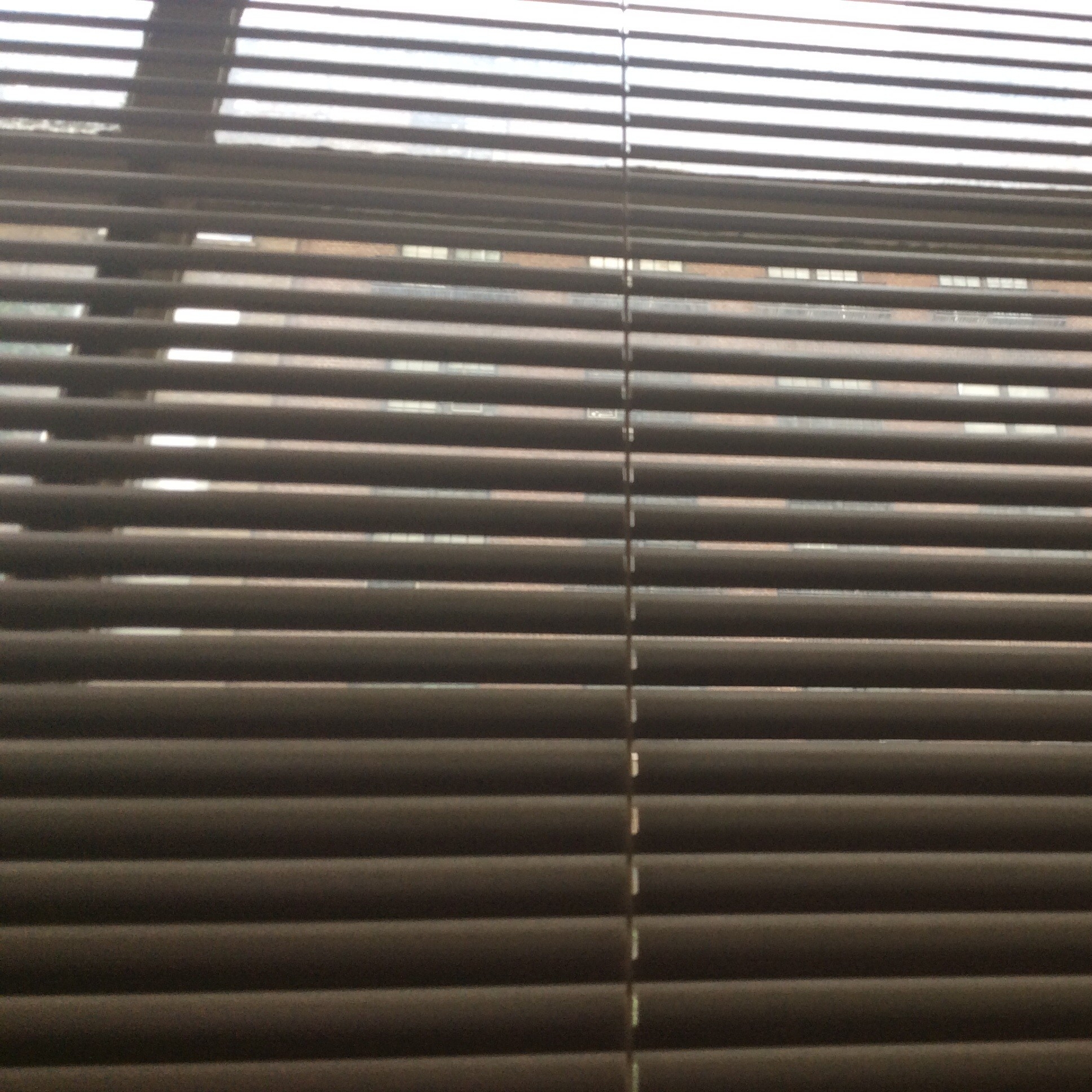 Sabrina's User Image