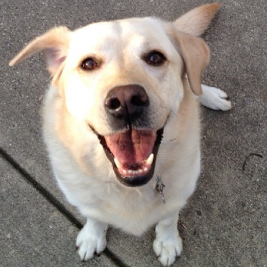 Katherine's User Image