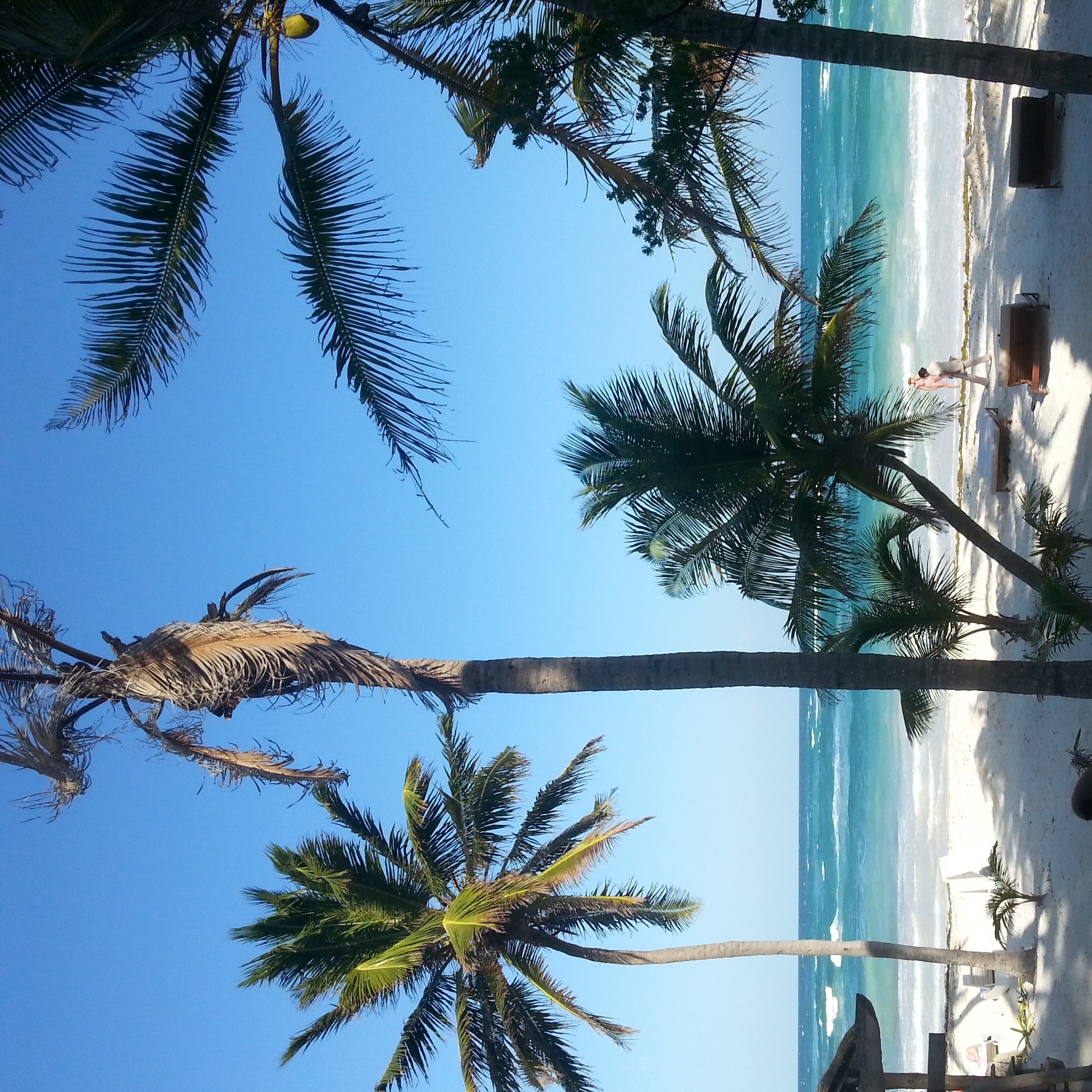 Riccarda's User Image