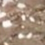 Rachel's User Image
