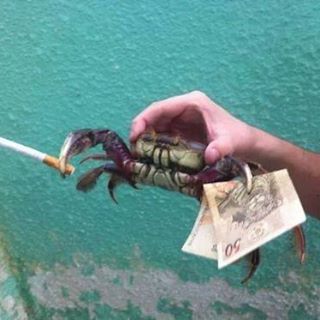 Zachary's User Image