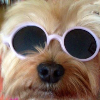 Denise's User Image