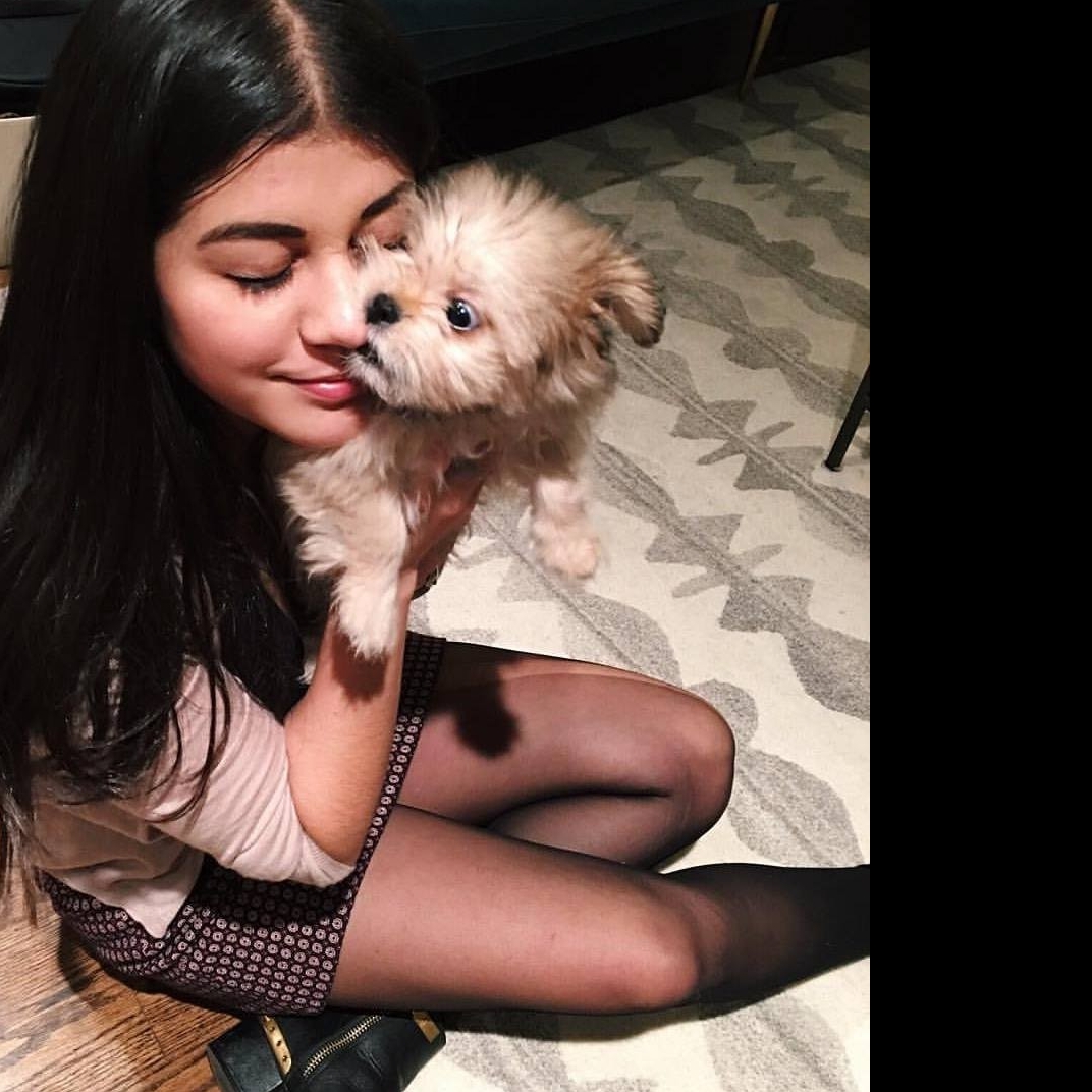 Samantha's User Image