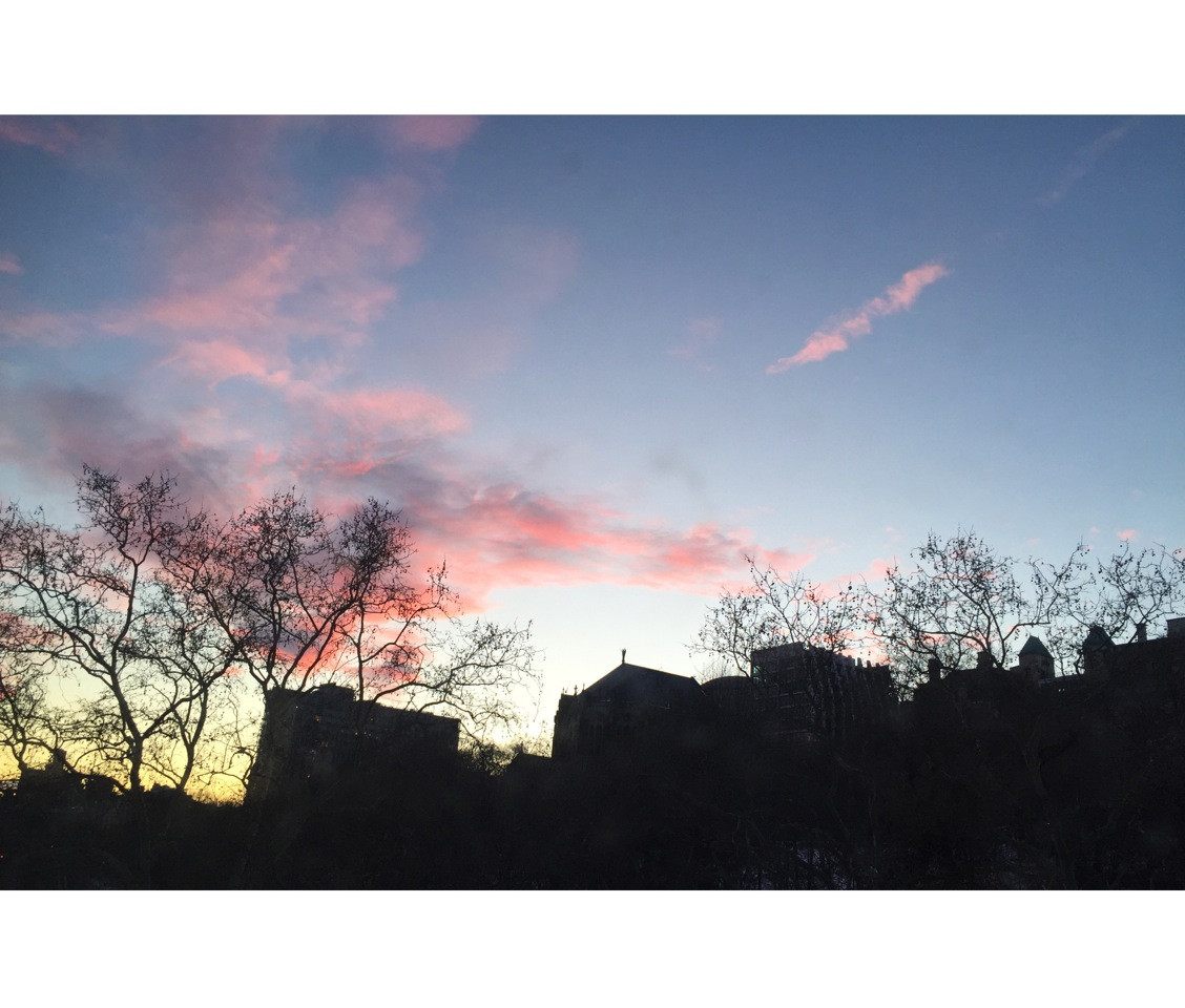 Sandrine's User Image