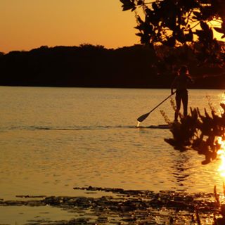 Elizabeth's User Image