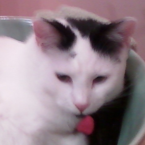 Marianne's User Image