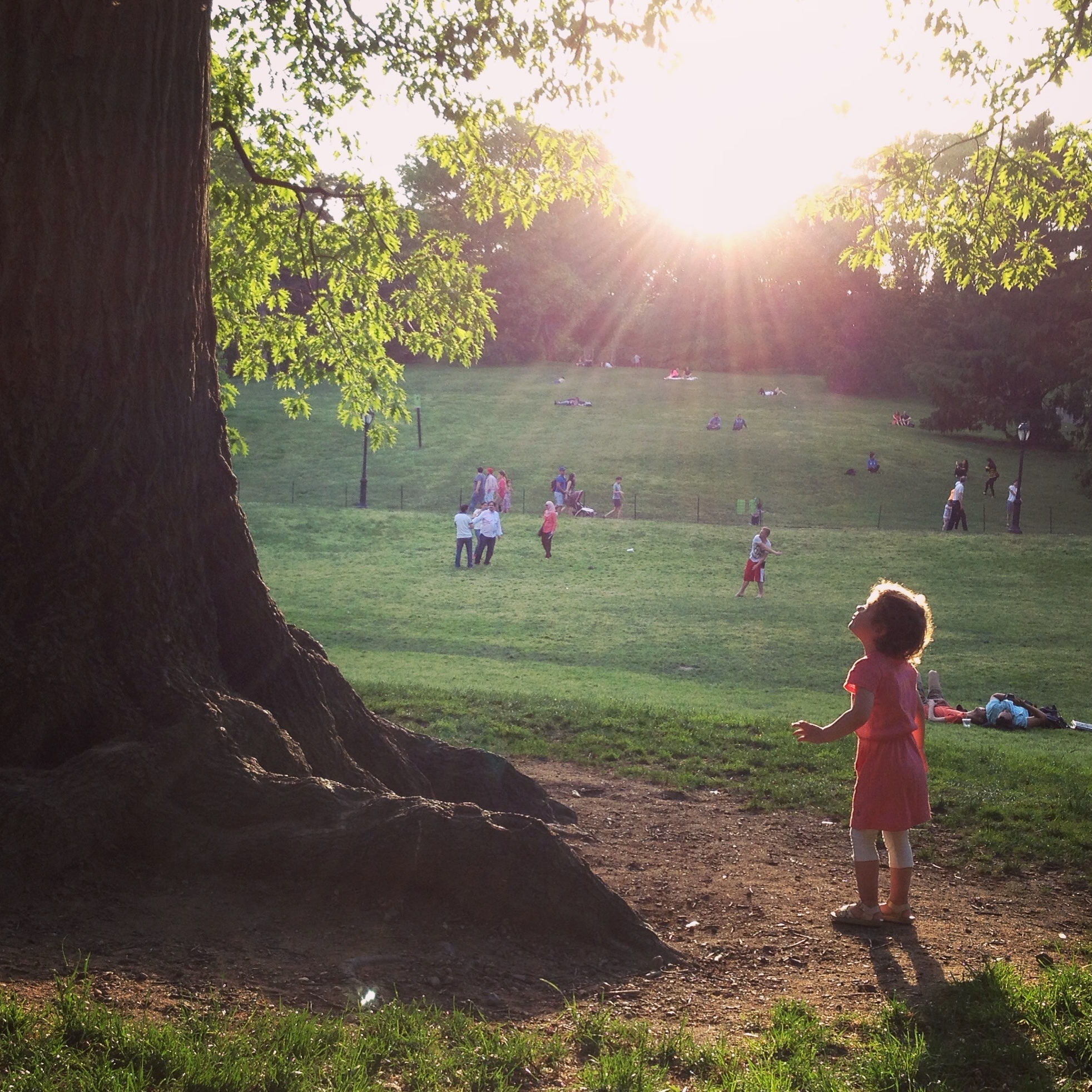 Tiffany's User Image