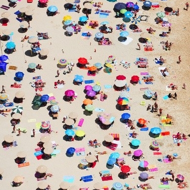 Lindsay's User Image