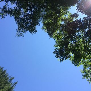 Heather's User Image