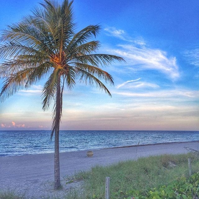 Persida's User Image