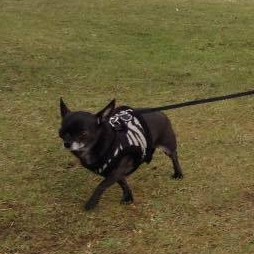 Katheryn's User Image