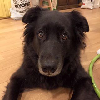 Stefanie's User Image